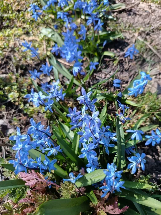 02_ласкает март