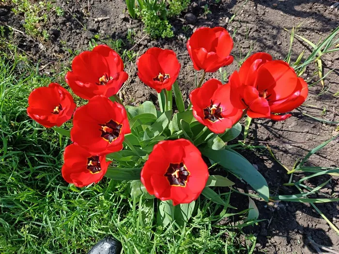 02_МНЕ ВЕСНА ШЕПТАЛА РЕЧИ СЛАДКИЕ